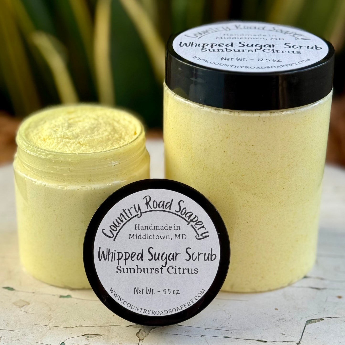 Sunburst Citrus Whipped Sugar Scrub