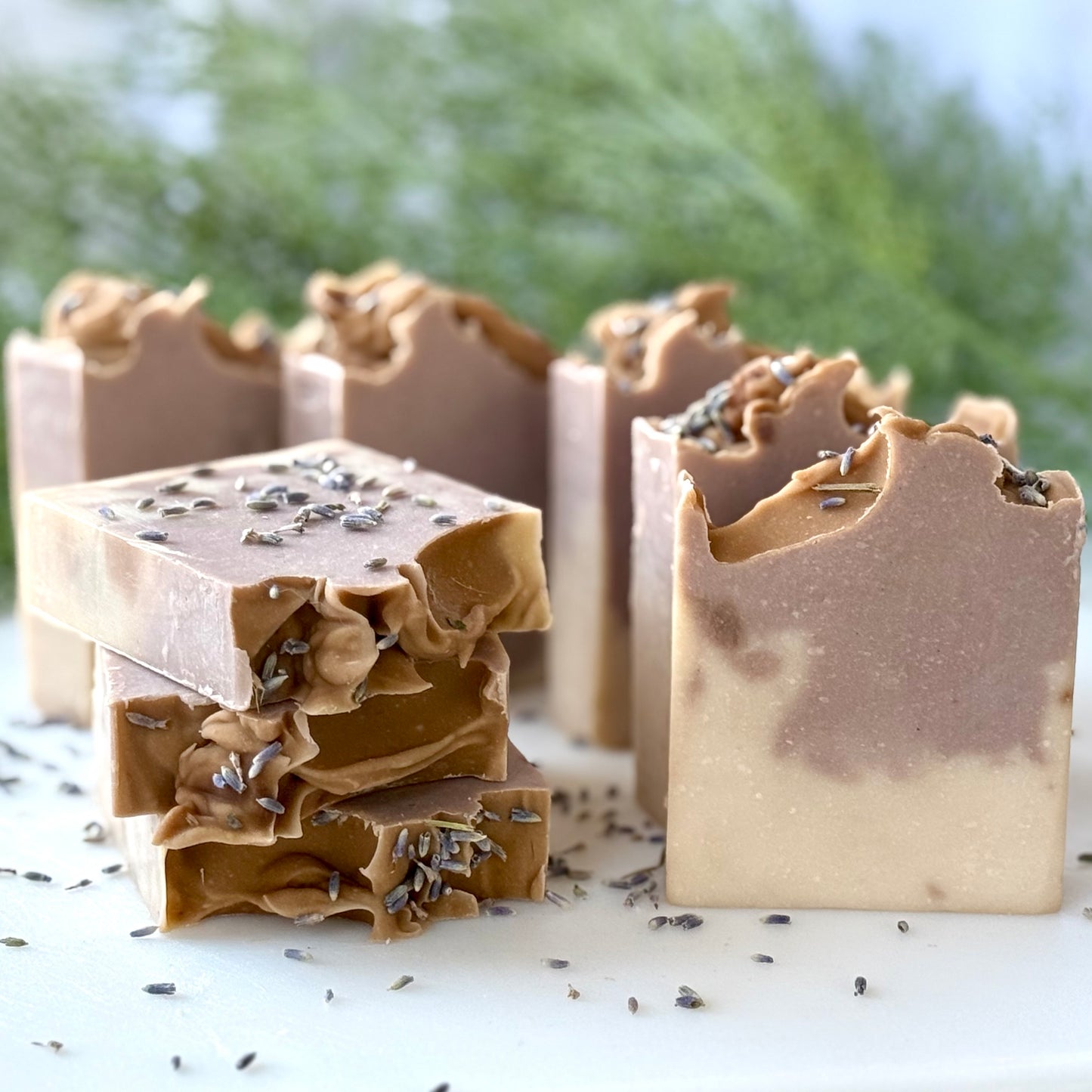 Lavender & Vanilla