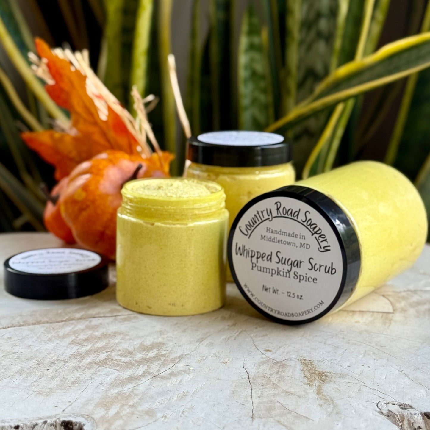 Pumpkin Spice Whipped Sugar Scrub