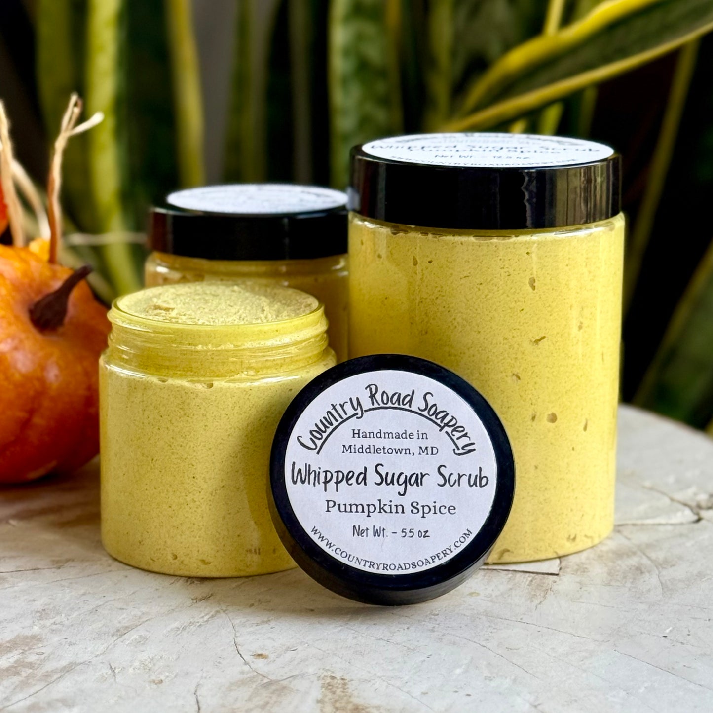 Pumpkin Spice Whipped Sugar Scrub