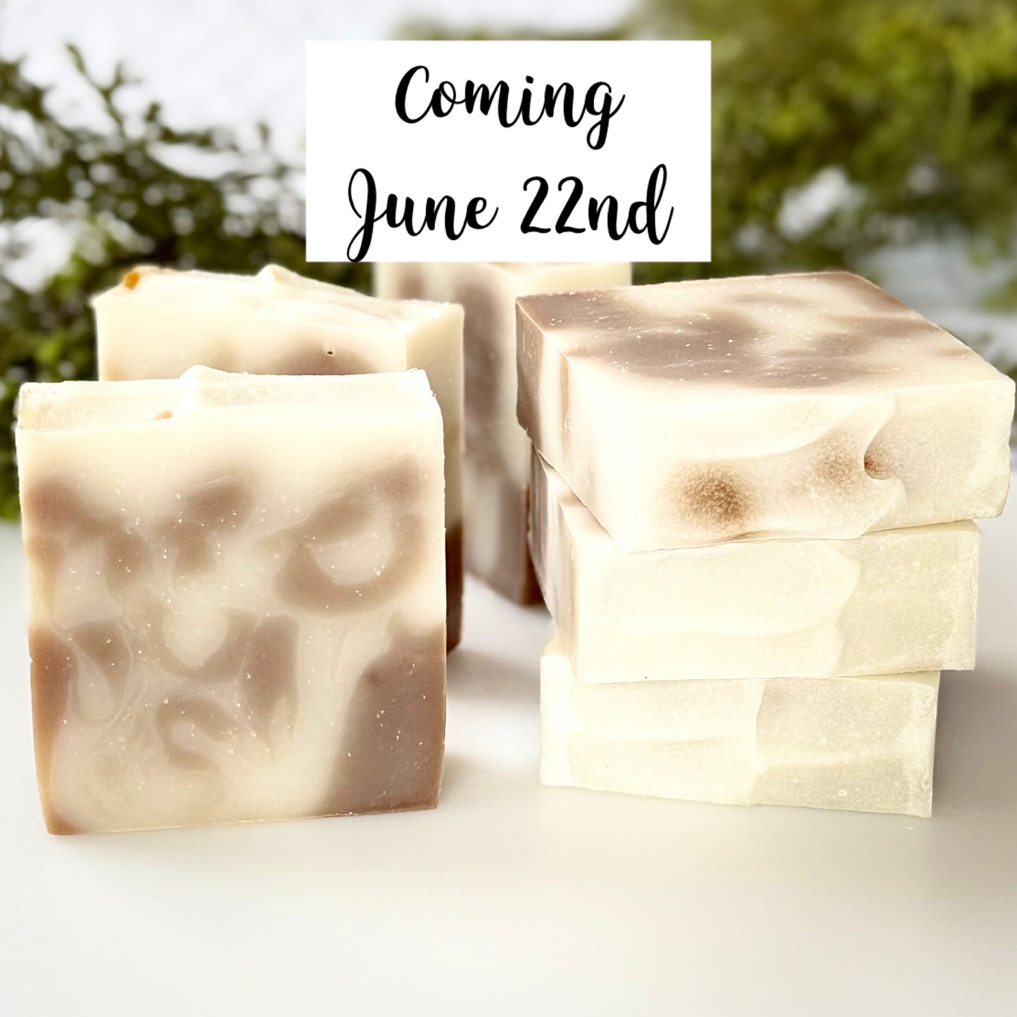 Almond Vanilla